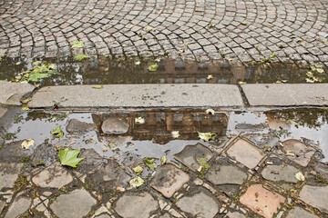 Reflections in a puddle, street photography in Paris
