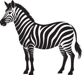Fototapeta premium Zebra Vector Illustration, Black and White Zebra Art, Wildlife Animal Drawing, Hand-Drawn Zebra Design, Vector Art for Print