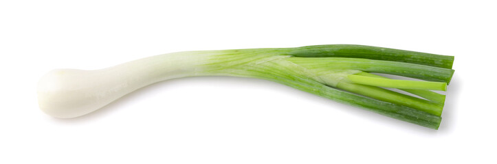 Green onion isolated on a white background