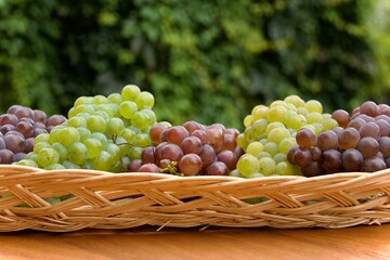 Tischdekoration bestehend aus Korb mit frischen Trauben in einem Weinlokal