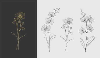 Minimalist vector set of orchid line art featuring a gold design on a dark background and black outlines on a white background. Vector illustration for labels, save the date, wedding invitation.