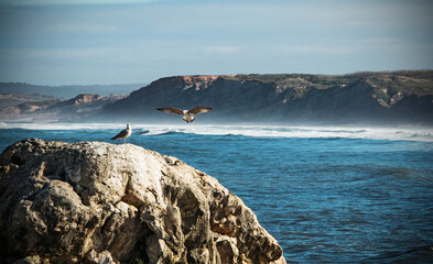 Cliffs and Atlantic coast in Portugal