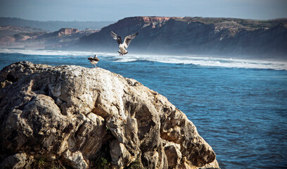 Cliffs and Atlantic coast in Portugal