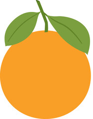 Flat style orange fruit vector isolated