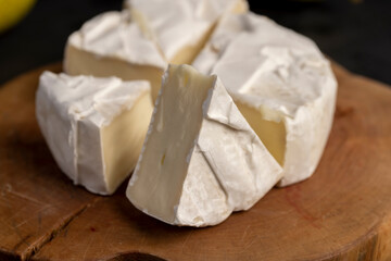 soft processed cheese with edible white mold