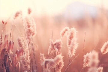 Beautiful nature outdoors plant grass.