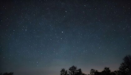 Naklejka premium Night Sky with Stars and Silhouetted Trees
