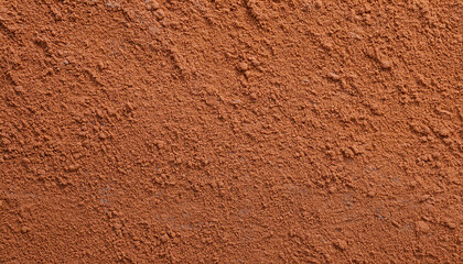 texture de surface en poudre d'argile rouge séchée de potier