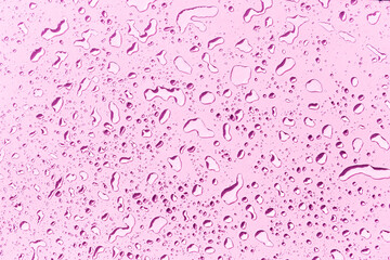 Water drops on pink background, purple water drops pattern background