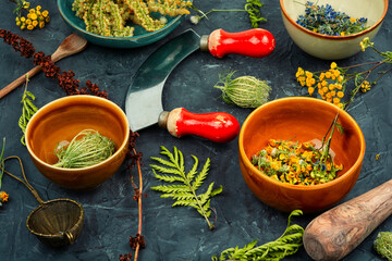 Medicinal herbs, alternative medicine.