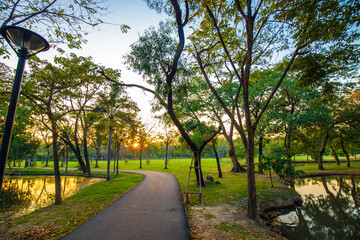 Fototapeta premium Sunset in city public park tree forest running pathway garden nature landscape