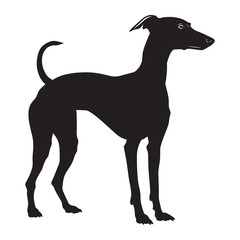 Obraz premium Whippet dog silhouette Design, Dog Clipart vector illustration in black and white 