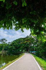 Obraz premium a public place leisure travel landscape lake views at Ang Kaew Chiang Mai University and Doi Suthep nature forest Mountain views spring cloudy sky background with white cloud.