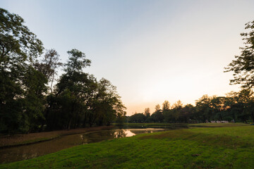 Green meadow grass sunset blue sky tree city park forest