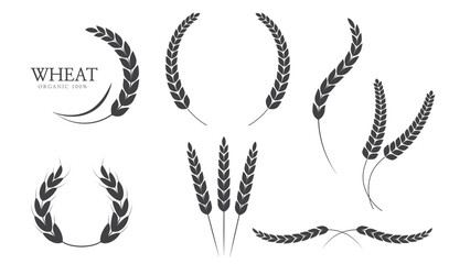 Wheat ears or rice icon. paddy wheat. laurel wreath icon. Vector illustration