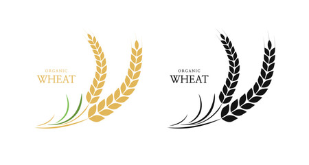 Wheat ears or rice icon. paddy wheat. laurel wreath icon. Vector illustration © Alano Design