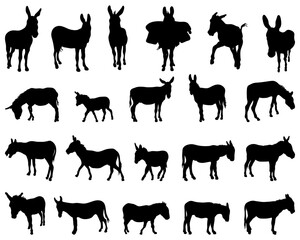 Black silhouettes of donkeys on white background