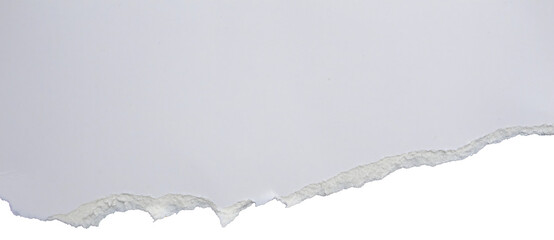 Ripped torn white paper piece on transparent background, paper cut out design element