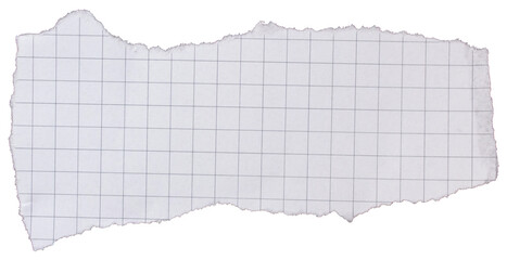 Ripped torn white graph paper piece on transparent background, checkered paper cut out design...