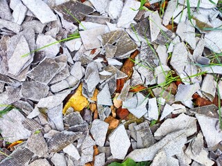 Scattered grey shingles on the ground in a grassy area during daylight