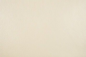 Fototapeta premium Smooth skin leather in pale cream with a soft polished finish.