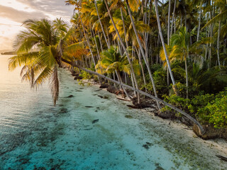 Paradise beach with coconut trees and sunrise sunshine on scenic island in Indonesia. Travel vacation concept.