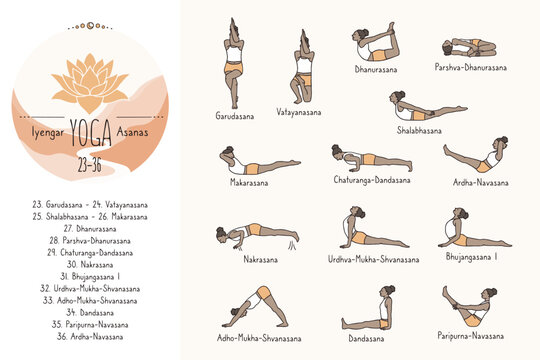 Hand drawn hatha yoga poses and their sanskrit names, Iyangar yoga asanas 23-36
