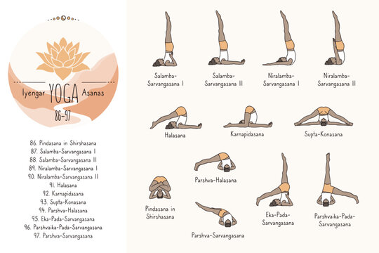 Hand drawn hatha yoga poses and their sanskrit names, Iyangar yoga asanas 86-97