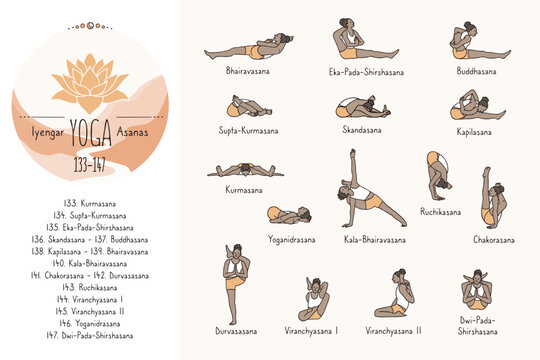 Hand drawn hatha yoga poses and their sanskrit names, Iyangar yoga asanas 133-147