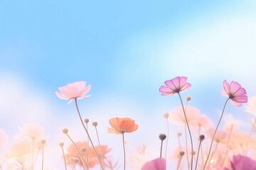 Summer flowers gradient background backgrounds outdoors blossom.