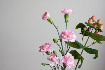 ピンクのカーネーション