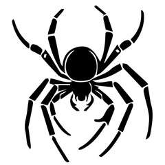 Spider web black with transparent background