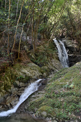 	清々しさを感じる、清流の滝。
