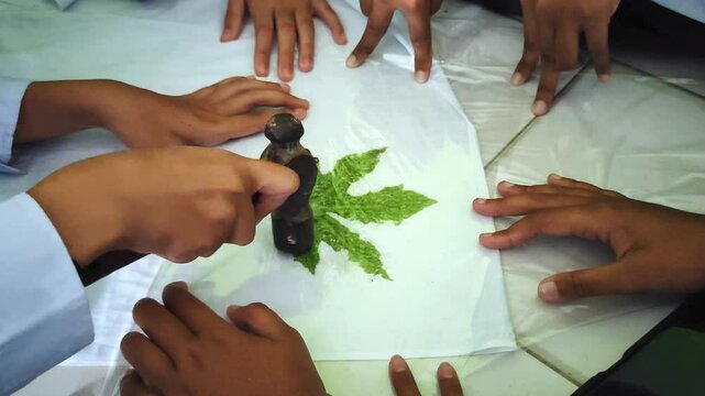 The process of making ecoprints using the Pounding technique. Attach the leaves to a white cloth and covered with clear plastic then hit them slowly with a hammer to attach the leaf dye to the fabric.