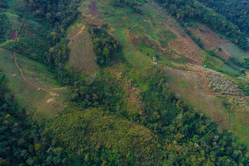 Aerial view green tree tropical rainforest in deep mountain