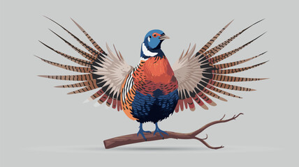 Obraz premium Pheasant bird vector illustration. Versicolor design element