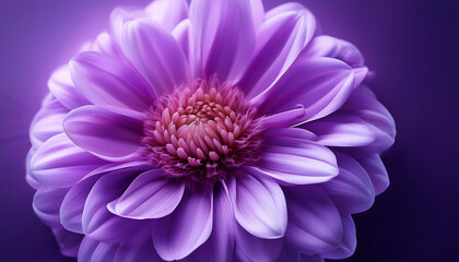 beautiful purple flower ideal backgrounds design