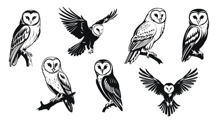 Fototapeta premium Set of barn owl illustrations in various poses, detailed vector illustration. Black and white designs featuring owls perched, in flight, and with facial details.