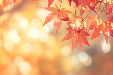 Fototapeta premium Autumn leaves with bokeh background