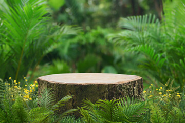 Wood table top podium floor in outdoors tropical garden forest blurred green leaf plant nature background.Natural product placement pedestal stand display,jungle paradise concept.