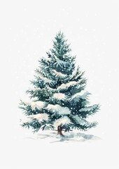 Fototapeta premium A christmas tree festival conifer plant.