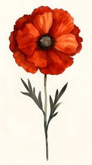 Red Flower Watercolor Painting, Floral Wall Art, Botanical Illustration