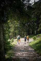 Obraz premium Scenic Alpine Hiking Journey: The E5 Trail Experience