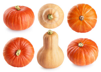 Pumpkin and butternut squash isolated on white background. Collection with clipping path.