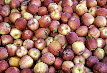 Red apples in a market