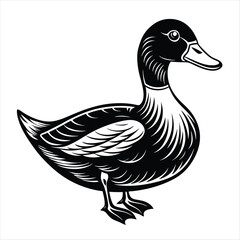 duck