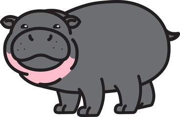 Baby cute pygmy hippo