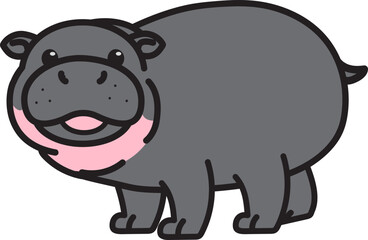 Baby cute pygmy hippo