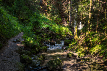 Fototapeta premium Der Wanderweg zum Niedersonthofener Wasserfall im Allgäu