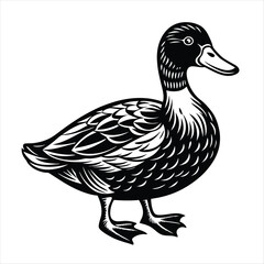 duck
